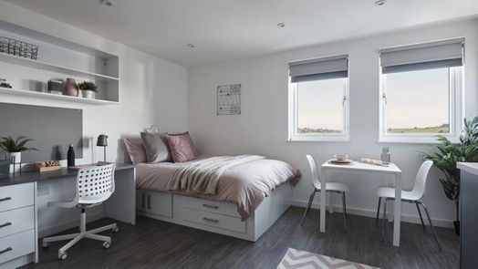 Superior Plus Studio