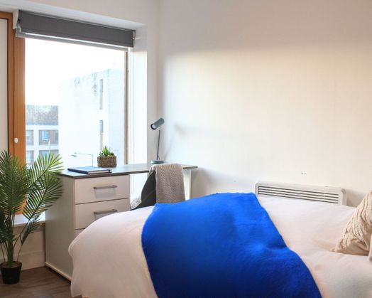 Classic Shared Apartment - Shared Bathroom