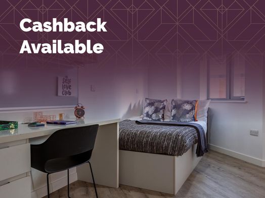Deluxe Plus Studio - Accessible