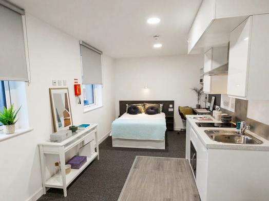 Large Premium Studio