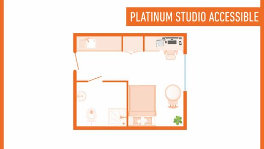 Platinum Studio Accessible