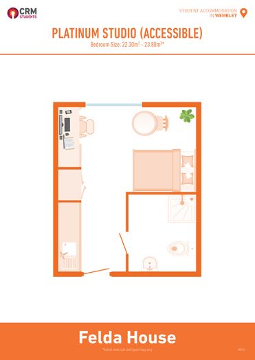 Platinum Studio Accessible