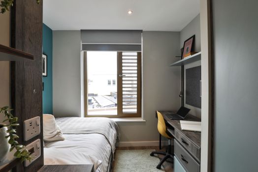 Premium Bigger Shared Apartment