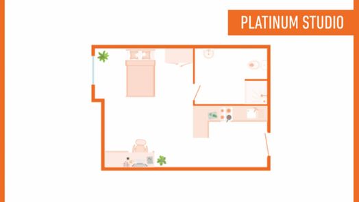 Platinum Studio