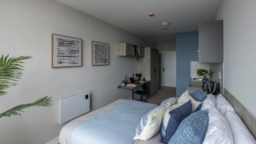 Premium Studio with Terrace