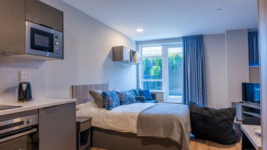 Platinum Studio with Terrace