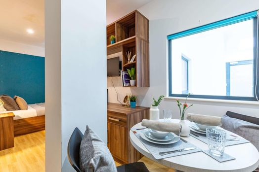Studio with a Bath - Limited View