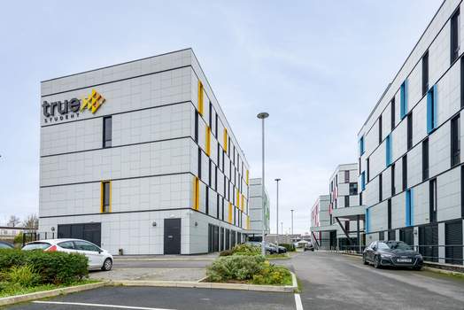 Photo of a true Swansea.