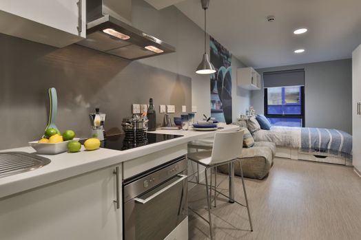 Classic Studio - Limited View