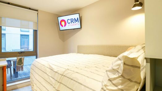 8 Bed Studio