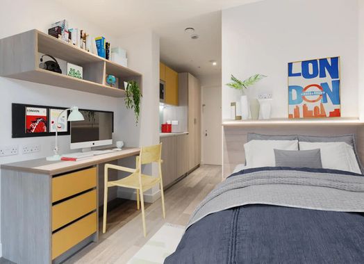 Bronze Studio Mid Level