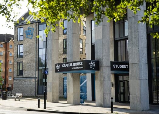 Photo of a canvas Capital House.