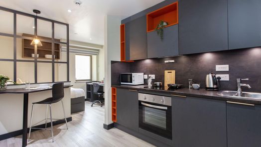 Luxury Studio