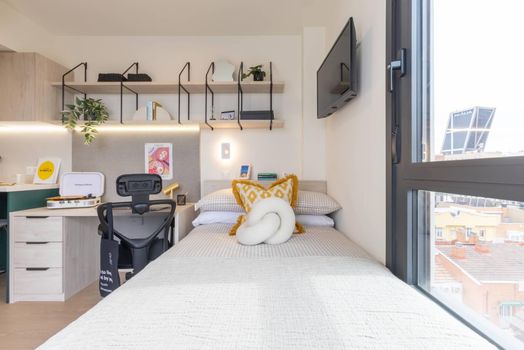 Premium Studio with Terrace