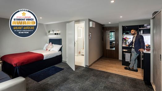 Sapphire Plus Studio