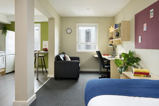 Silver Studio — (Single Occupancy)