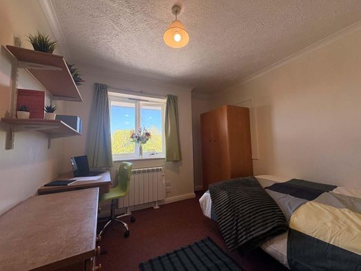 One Bedroom
