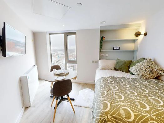 Premium Studio Accessible