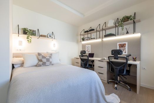 Superior Studio with Terrace