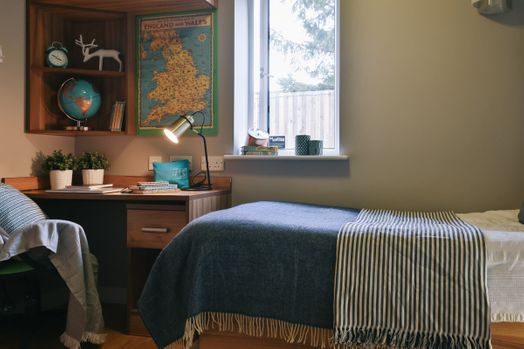 Classic Studio - Single Bed