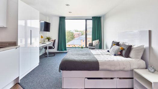 Classic Shared Apartment
