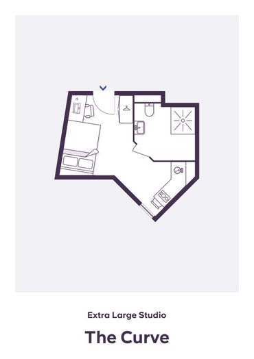 Extra Large Studio