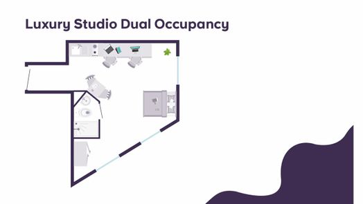Luxury Studio Dual Occupancy (Floors 30-32)