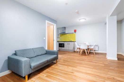 One Bedroom Apartment