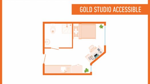 Gold Studio Accessible