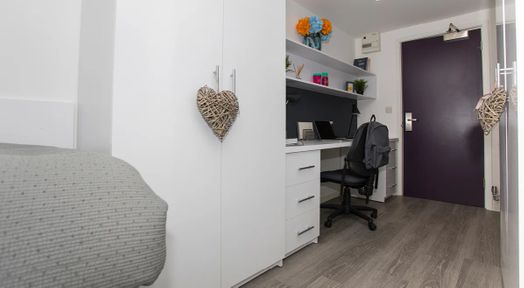 Standard Plus Studio