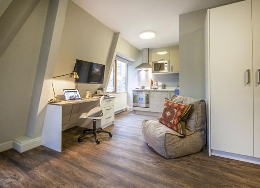 Platinum Studio