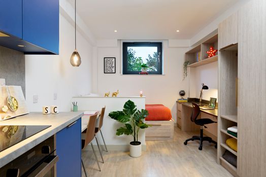 Bronze Studio - Single Occupancy