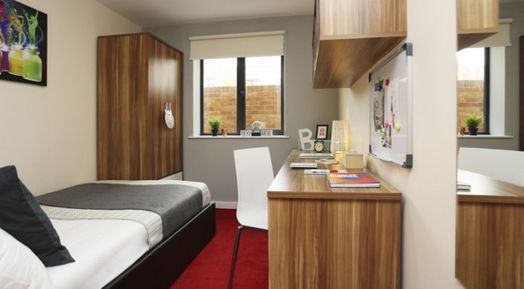 Classic En-Suite Lower Ground Floor, Behn Hall