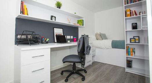 Standard Studio
