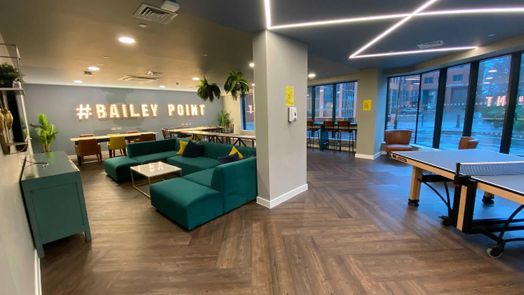 Photo of a bailey Point.