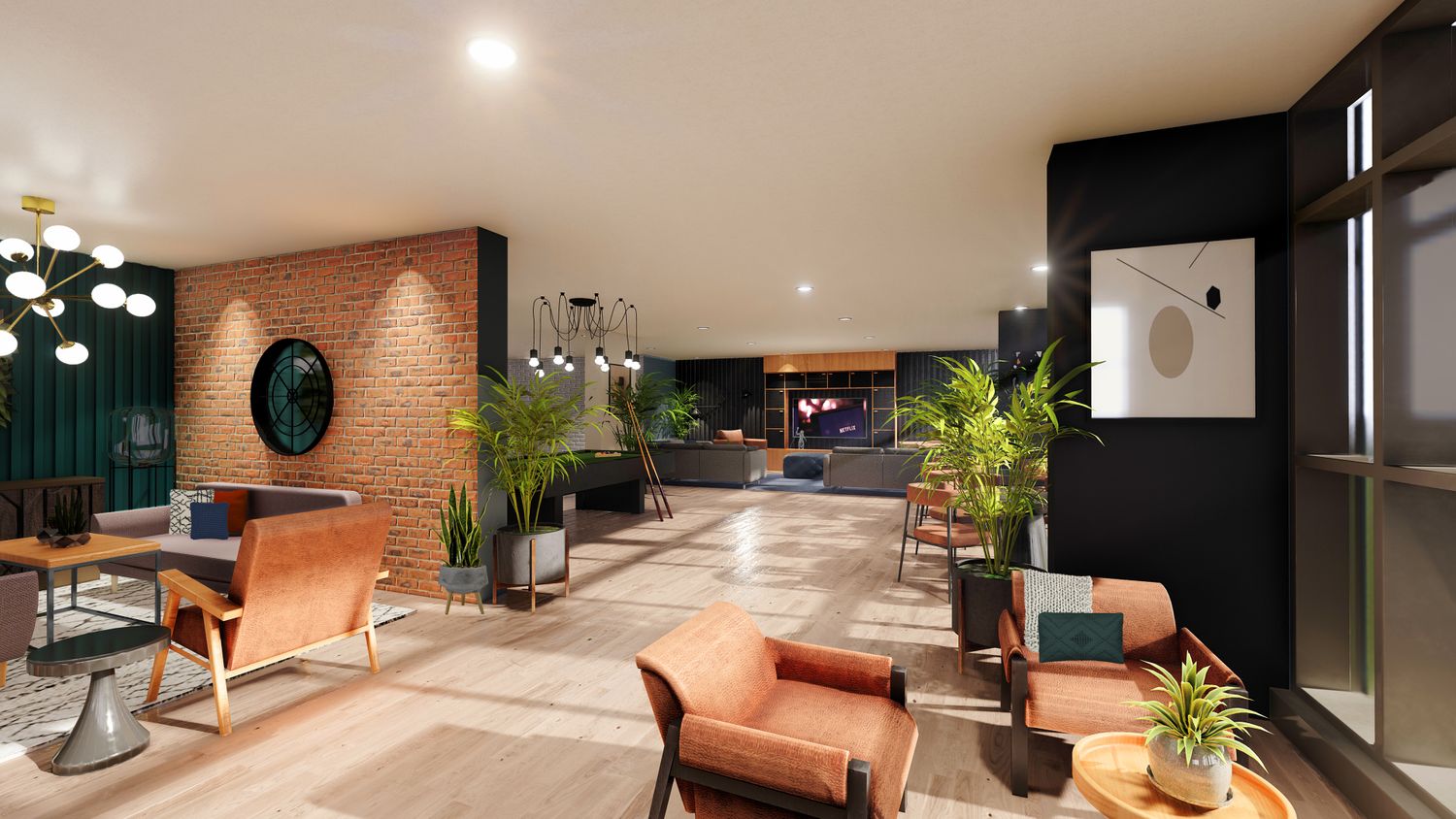 Little Patrick Street Student in Belfast