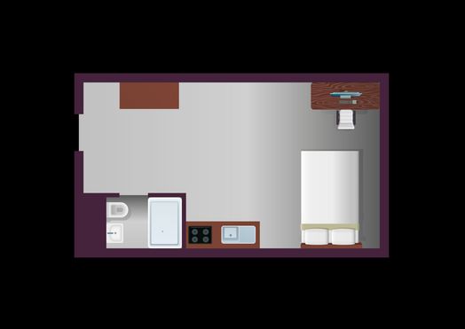 Luxury Penthouse Studio