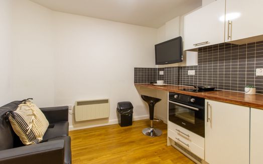 Large Silver Plus 2 Bed Room