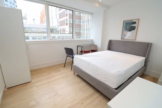 Double Room - Single Use in Wembley