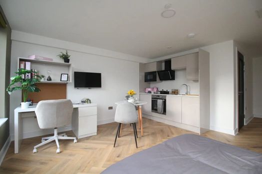 Adaptable Studio 26 +