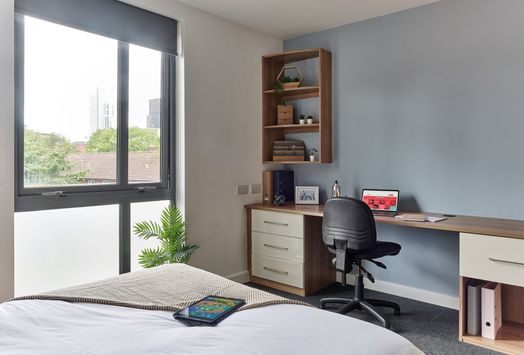 Accessible Gold Ensuite