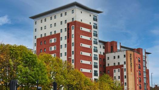 Photo of a sky Blue Point.