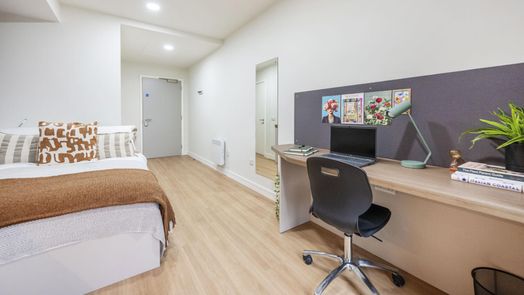 Standard Studio Plus