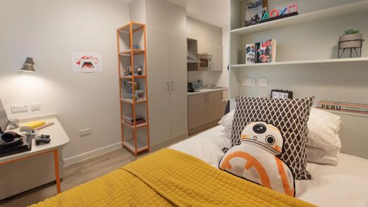 8 Bed Studio