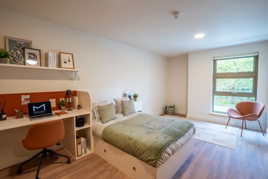 Premium Plus Studio