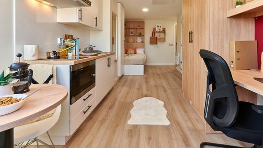 Accessible Platinum Plus