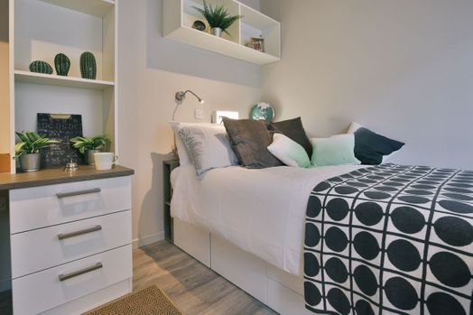 Premium Smaller Studio