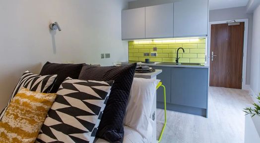 Bronze Studio (Singled Bed)