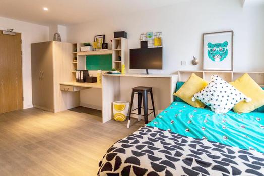 Standard Accessible Studio