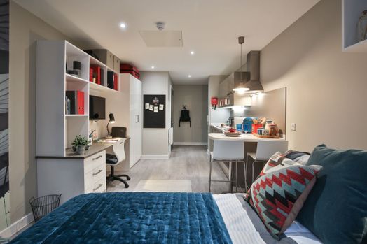 Premium Studio - Limited View